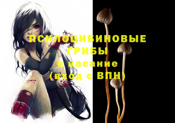 a pvp Верея