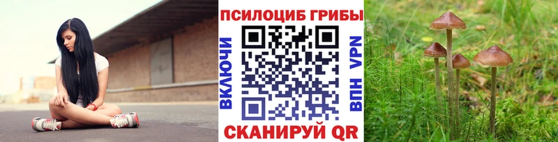 Псилоцибиновые грибы GOLDEN TEACHER где можно купить наркотик Пятигорск